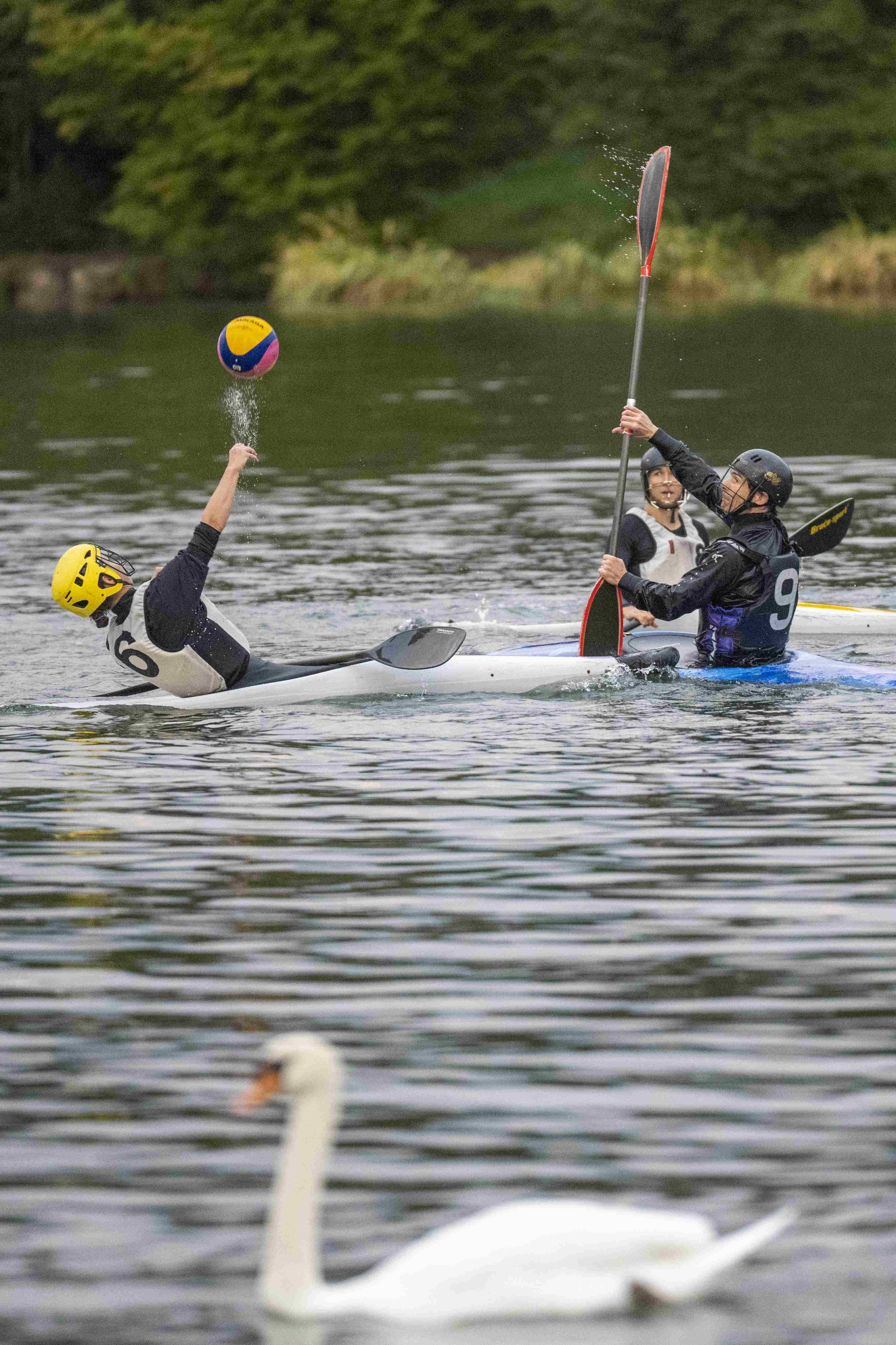 Beim "Polo spielen" ist Geschicklichkeit ist gefragt