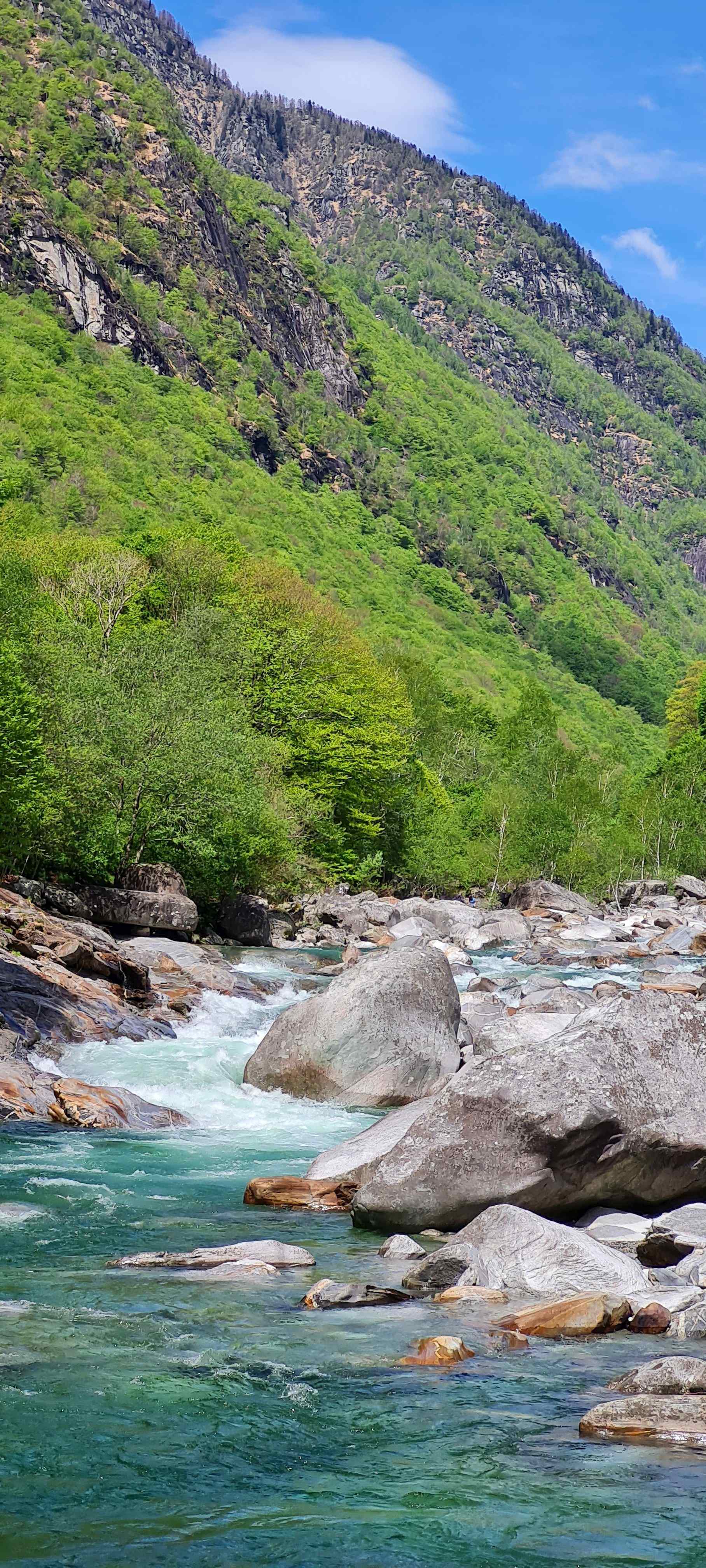 FFF Info 2026 01 WW Tession01