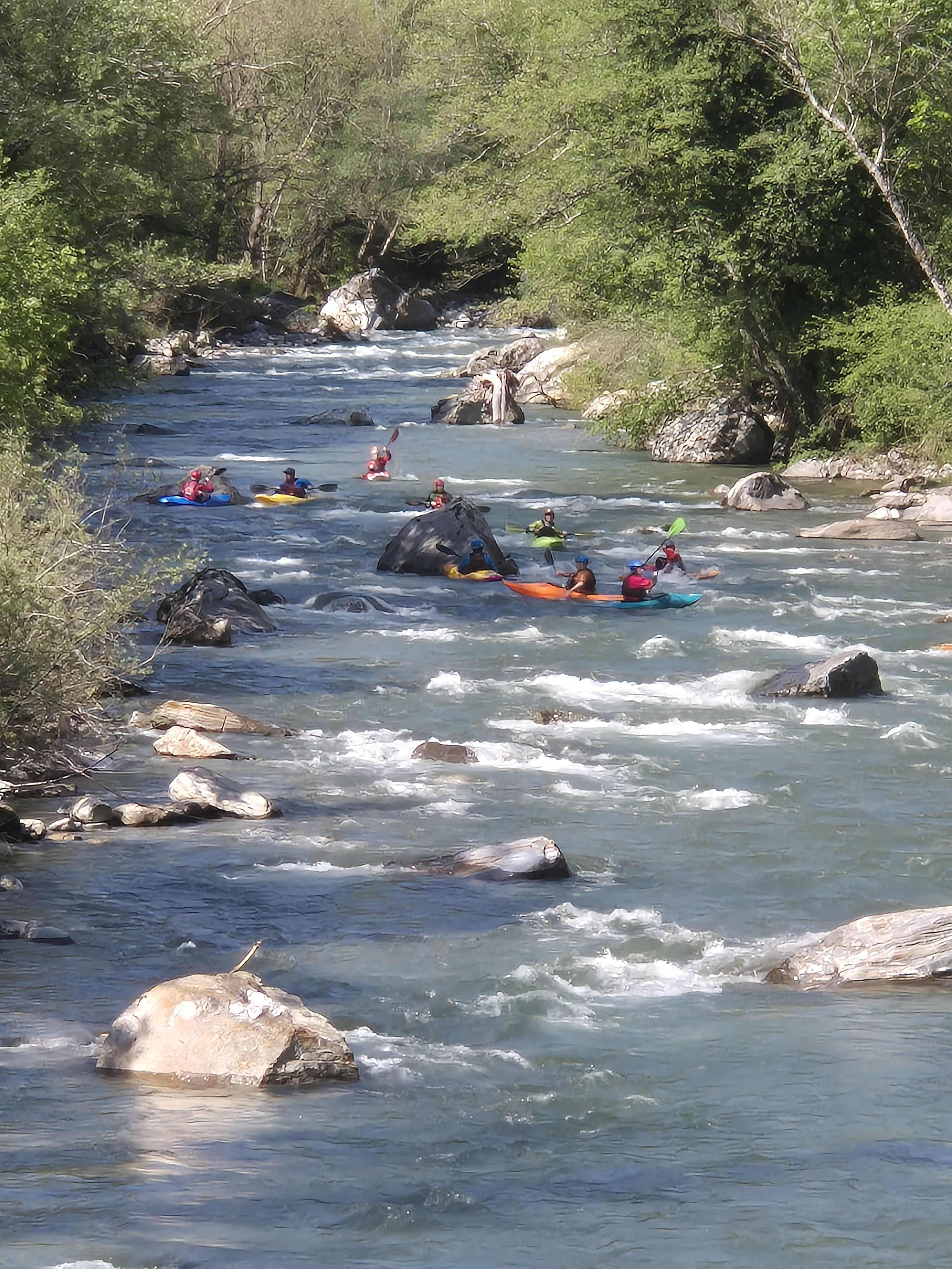 FFF Info 2026 01 WW Tession02