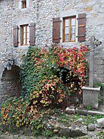 u dscn4910 20131109 1793860731