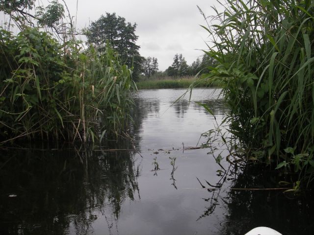 fff 2007 peene 025 20131205 1262102309