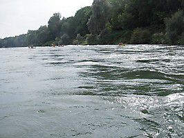 imgp0080 20140629 1122471983