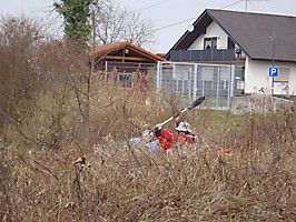 p3220586 20150322 1213559931