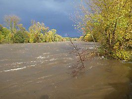 10 p1030864 20151114 1464465971