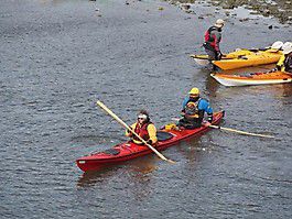 p4030526 20150407 1977534687