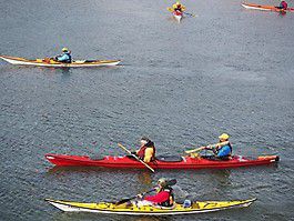 p4030527 20150407 2006909428