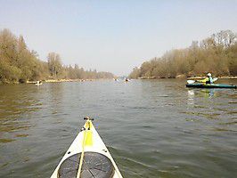 img 20190324 123538 20190324 1980157614