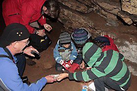 img 2345 20131015 1220622710