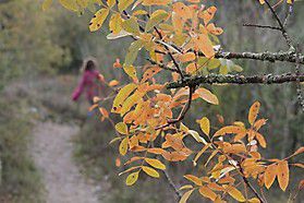 img 2374 20131015 1104250972