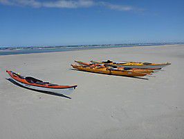 p1000993 20190609 1818539578