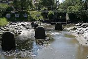 img 3383 20131015 1851538097