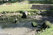 img 3386 20131015 1236626299