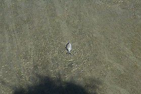 img 3391 20131015 1130367814