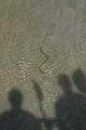 img 3401 20131015 1313476192