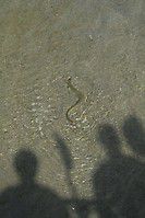 img 3401 20131015 1313476192