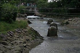 img 3422 20131015 1983033018