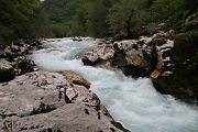 img 6537 20131015 1139912626