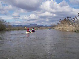 imgp5424 20131205 2098473215