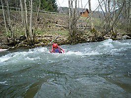 wiese090001 20131205 1464629342