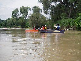 fff 2008 ill 003 20131205 1272172628