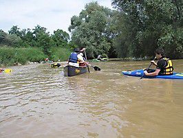 fff 2008 ill 005 20131205 1331804307