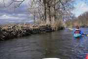 imgp6984 20131204 1072914227