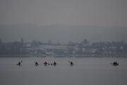 c300025 20140106 2091299811