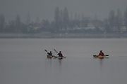  c300029 20140106 1201227742
