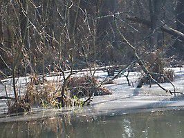 p1000161 20131015 1541602568